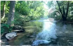 ImageUploadedByTreasureNet.com1499588719.358041.webp ImageUploadedByTreasureNet.com1499588719.358041.webp
