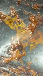 Screenshot_2017-05-17-12-56-56.webp