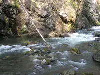 253.webp