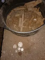 20170629_201531.webp
