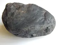 DSCN3032.webp