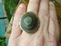 DSC00392.webp
