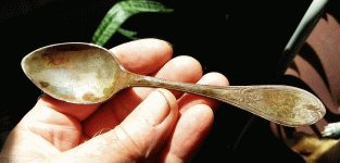 spoon at Jerrys.gif