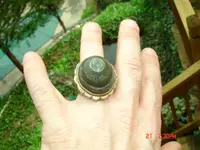 DSC00393.webp