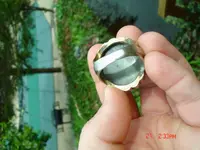 DSC00402.webp