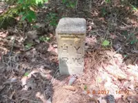DSCN0750.webp