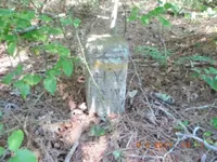 DSCN0752.webp