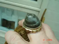 DSC00399.webp