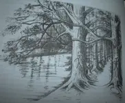 DSCF0002(2).webp