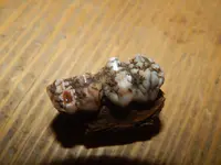 DSCN6068.webp