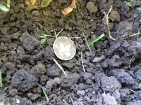 image4.webp