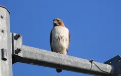 K1600_DSCN2218.webp