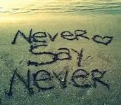 Never Say Never!.webp