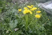 PDR_5439.webp