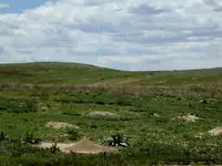 bike ride 051717 1.webp