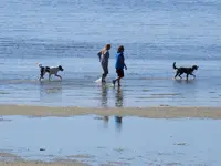 K1600_RSCN3023.webp