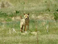 bike ride 051717 3.webp
