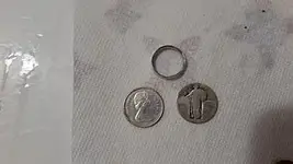 Sledding hill finds.webp