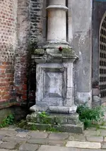 26534369.webp
