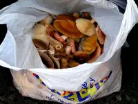 30082602.webp