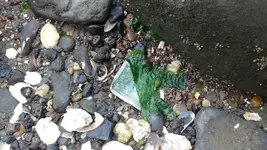 IMG_20170524_165250143 2.webp