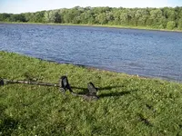 001.webp