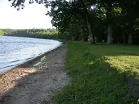 004.webp