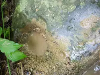 20170630_074718.webp