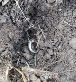 20170718_190337.webp