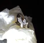 20170718_223610.webp