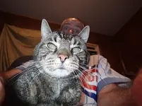 006.webp 006.webp