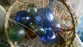 IMG_20170609_105433024.webp