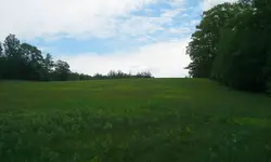 meadow.webp