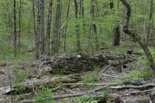DSC_0097 (2).webp