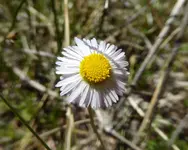 plants 052417 2.webp
