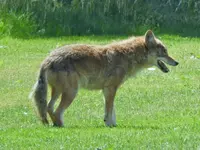 K1600_RSCN2732.webp