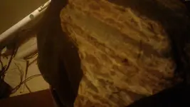 20170126_180116.webp