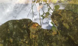 20170611_132452.webp