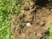 IMG_0152.webp IMG_0152.webp