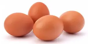 Eggs1.webp