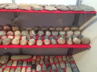 2017-05-29 19.38.09.webp