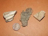DSCN6842.webp