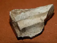 DSCN6843.webp