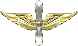 wings.webp