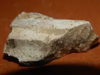 DSCN6845.webp