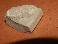 DSCN6846.webp