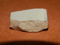 DSCN6848.webp