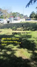 Behind the bus stop 6-11-17 003.webp