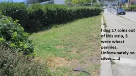 Behind the bus stop 6-11-17 004.webp