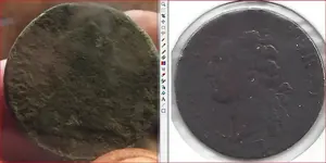 half sol.webp
